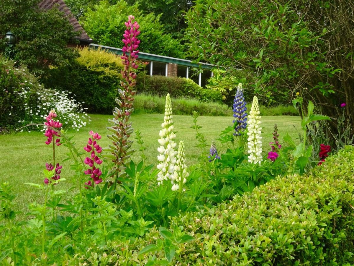 Passford House Hotel Lymington Extérieur photo